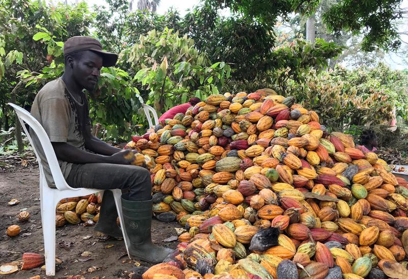 Cameroon bans Cocoa exports to Nigeria